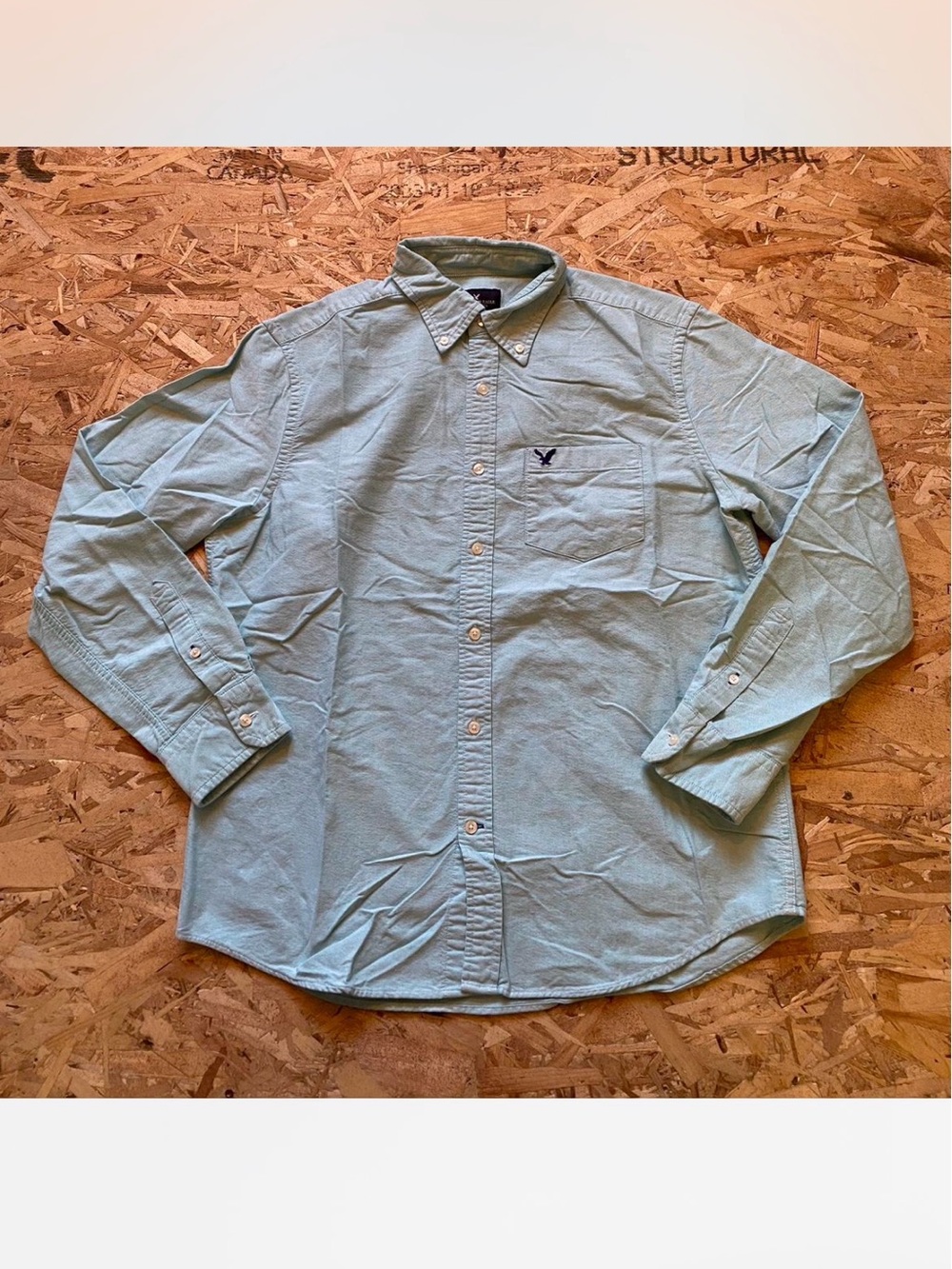 American Eagle Outfitters Mint Green Long-Sleeve Button-Down Shirt
